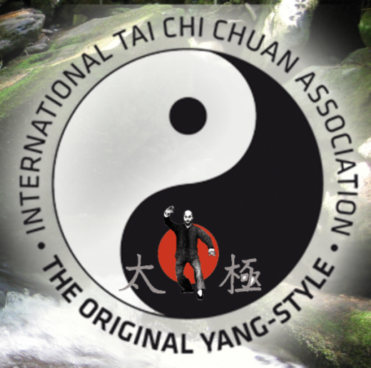 ITCCA Chu King Hung Yang Chen Fu